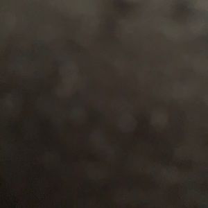 Meet your Posher, Blake